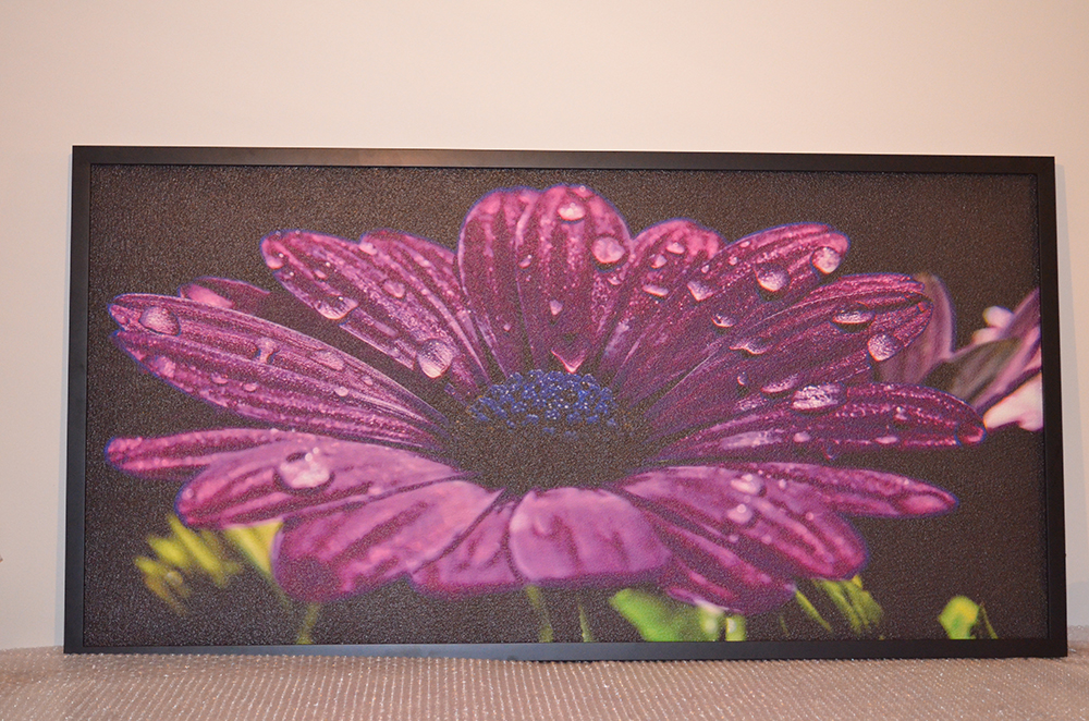 720W - Infrapanel fialový květ