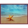 Topný obraz - Mořská hvězdice
