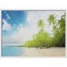 Topný obraz - Palmová pláž