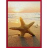 Topný obraz - Mořská hvězdice v písku