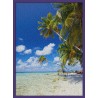 Topný obraz - Tropická pláž