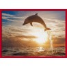 Topný obraz - Skákající delfín