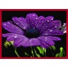 Topný obraz - Fialový květ