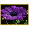 Topný obraz - Fialový květ