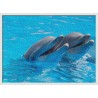 Topný obraz - Delfíni