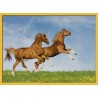 Topný obraz - Koně ve skoku