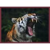 Topný obraz - Zívající tygr