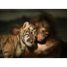 Topný obraz - Tygří a opičí mládě