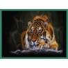 Topný obraz - Tygr sumaterský