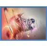 Topný obraz - Zebra
