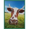 Topný obraz - Kráva