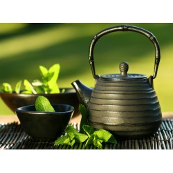 infrapanel - Zelený čaj