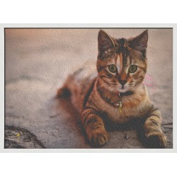 Topný obraz - Kočka