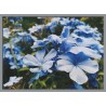 Topný obraz - Modré květy