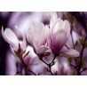 Topný obraz - Fialové květy