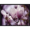 Topný obraz - Fialové květy