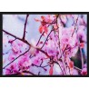 Topný obraz - Sakura