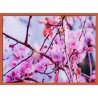 Topný obraz - Sakura