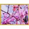 Topný obraz - Sakura