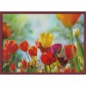 Topný obraz - Barevné tulipány
