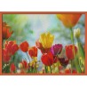 Topný obraz - Barevné tulipány