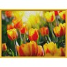 Topný obraz - Žluto červené tulipány