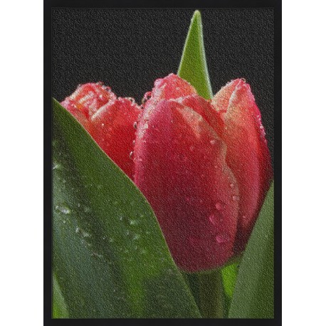 Topný obraz - Orosený tulipán