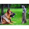 Topný obraz - Pes a kočka