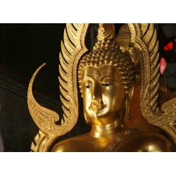 infrapanel - Zlatý Buddha