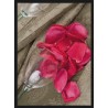 Topný obraz - Plátky růže