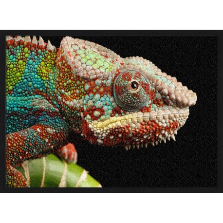 Topný obraz - Zbarvený chameleon
