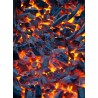 Topný obraz - Hořící uhlíky