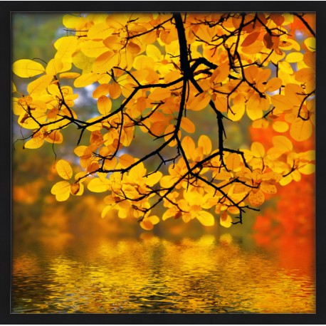 Topný obraz - Podzimní počasí
