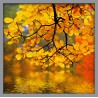 Topný obraz - Podzimní počasí