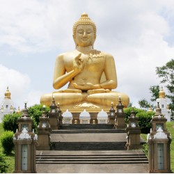 infrapanel - Buddha