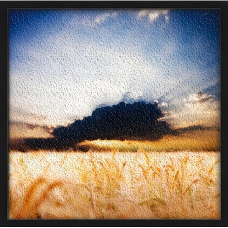 Topný obraz - Mrak nad polem