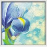Topný obraz - Modrá květina