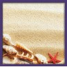 Topný obraz - Mořské suvenýry