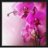 Topný obraz - Fialová květina