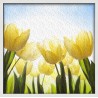 Topný obraz - Tulipány