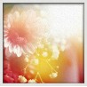 Topný obraz - Sluneční paprsky a květiny