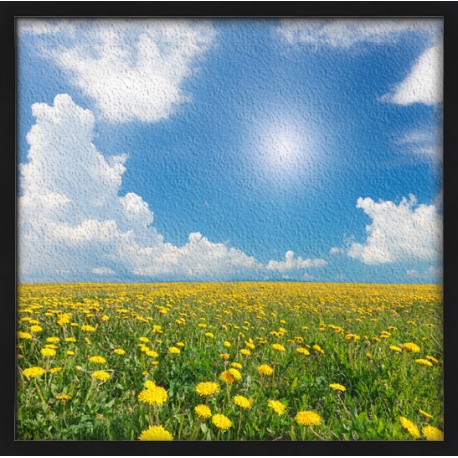 Topný obraz - Kvetoucí pole