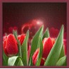 Topný obraz - Valentýnské růže