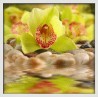 Topný obraz - Žlutozelená orchidej