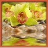 Topný obraz - Žlutozelená orchidej