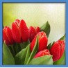 Topný obraz - Červené tulipány