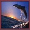 Topný obraz - Delfín ve vlnách