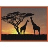 Topný obraz - Silueta žiraf