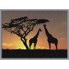 Topný obraz - Silueta žiraf