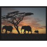 Topný obraz - Silueta slonů